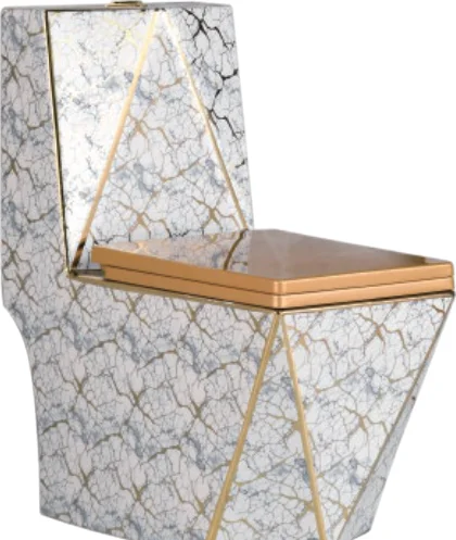 One-piece Toilet 1301-11