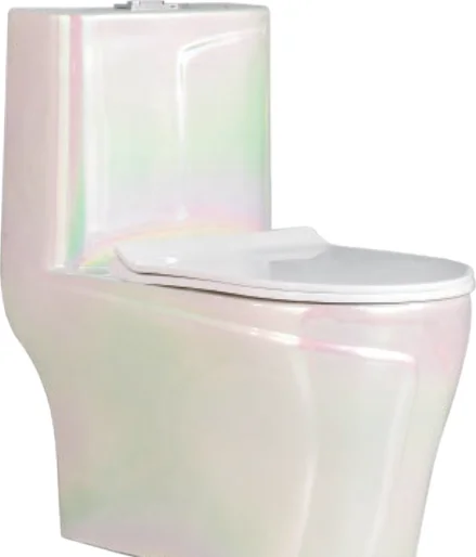 One-piece Toilet 1306-3