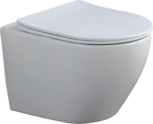 Wall-hung Toilet 490/535/535DK-01
