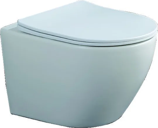 Wall-hung Toilet 490DK
