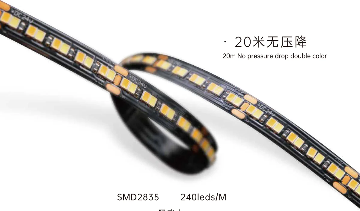 LED Strip Light THO-24-S24010