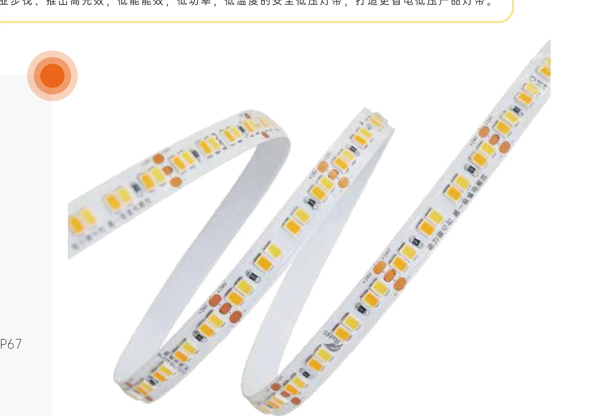 LED Strip Light THO-24-T2248